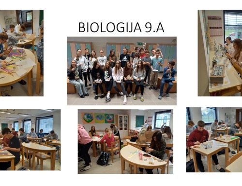 Biologija in modeli molekule DNA