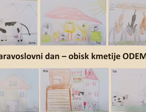 Obisk kmetije Odems